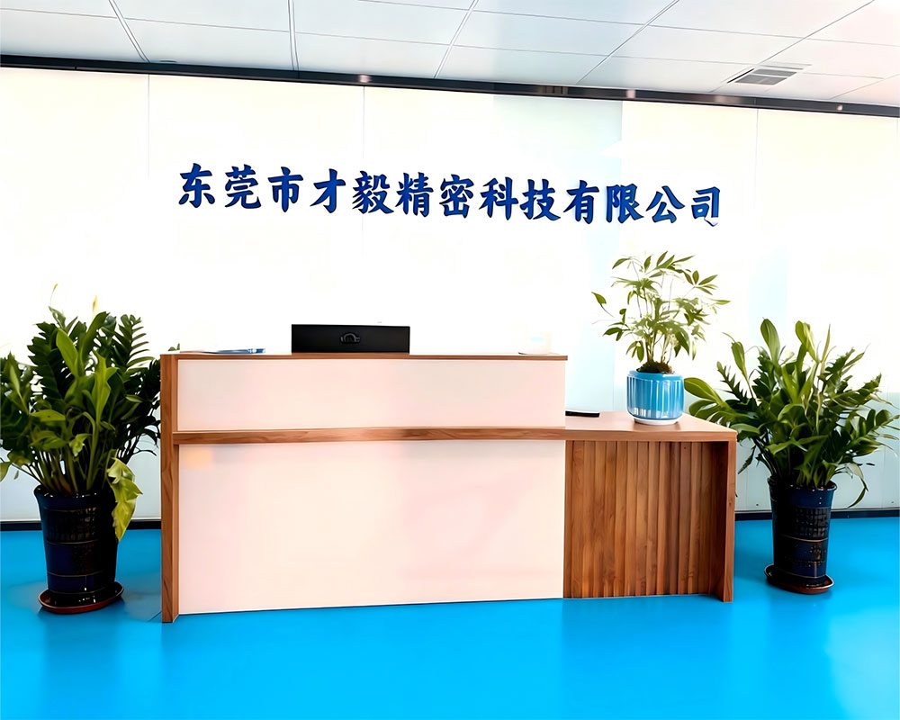 caiyi Swiss-type machining service company